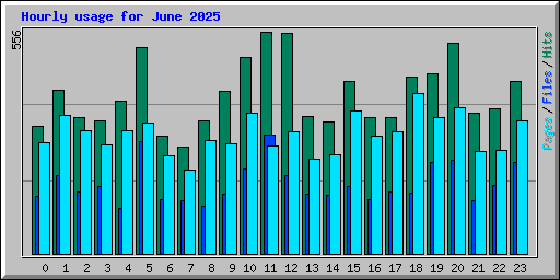 Hourly usage for June 2025