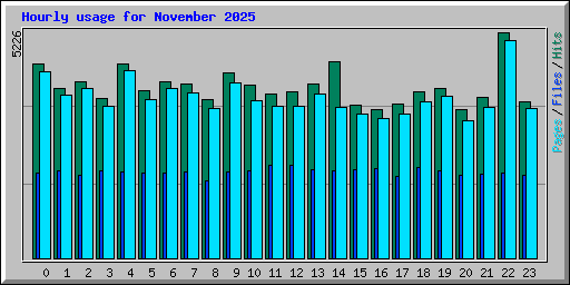 Hourly usage for November 2025