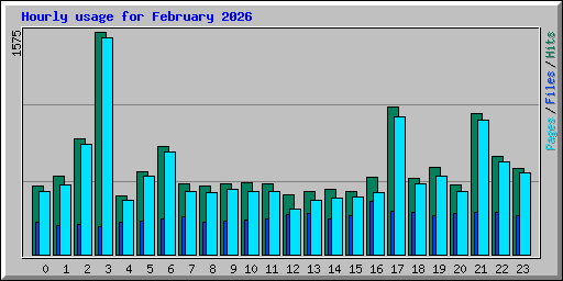 Hourly usage for February 2026